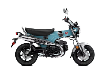 Model Image